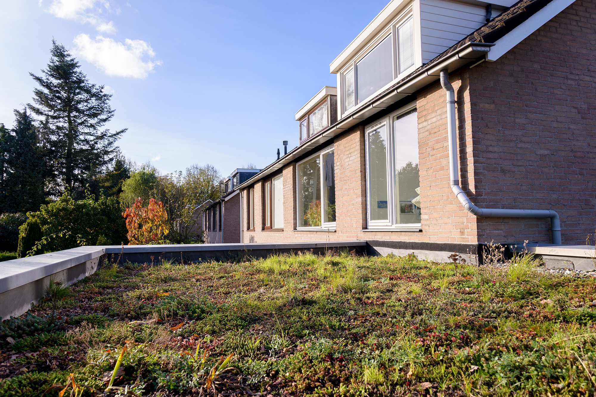 Ecologische uitbouw met sedum dakbedekking