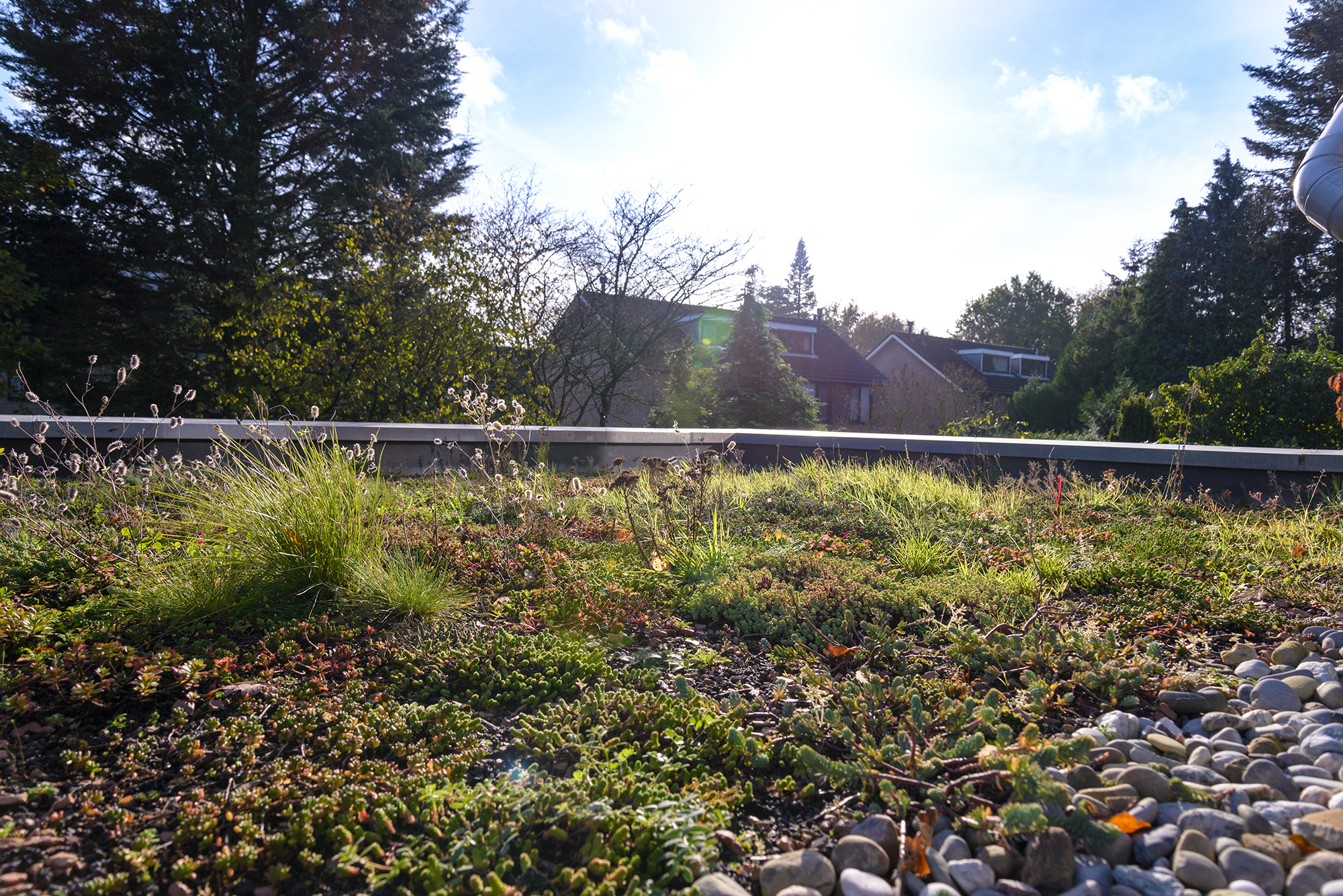 Ecologische uitbouw